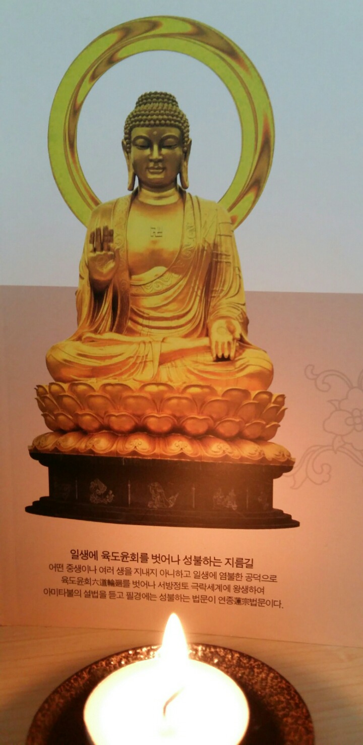 금자 이미지