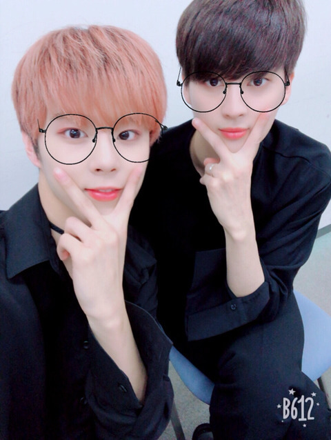 샐가 이미지