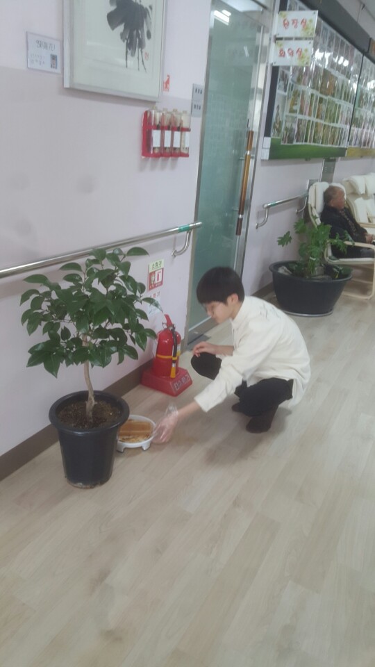 동양당 이미지