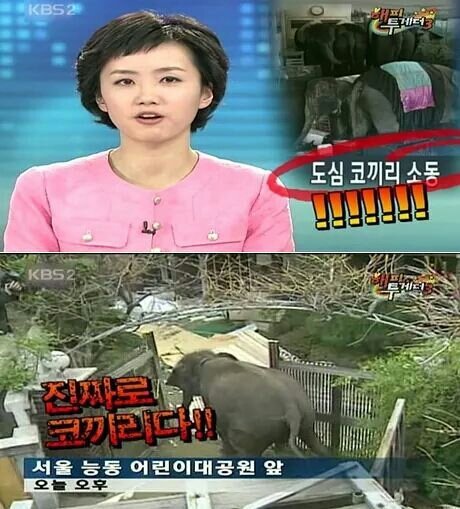 연예인 허풍처럼 들리는 진실 | 인스티즈