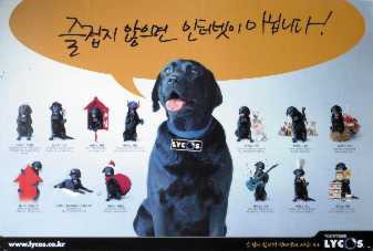 이 강아지알면 나이있음 | 인스티즈