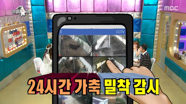 학교에서도 방송녹화중에도 소걱정뿐인 인생 2회차 소년 농부 | 인스티즈
