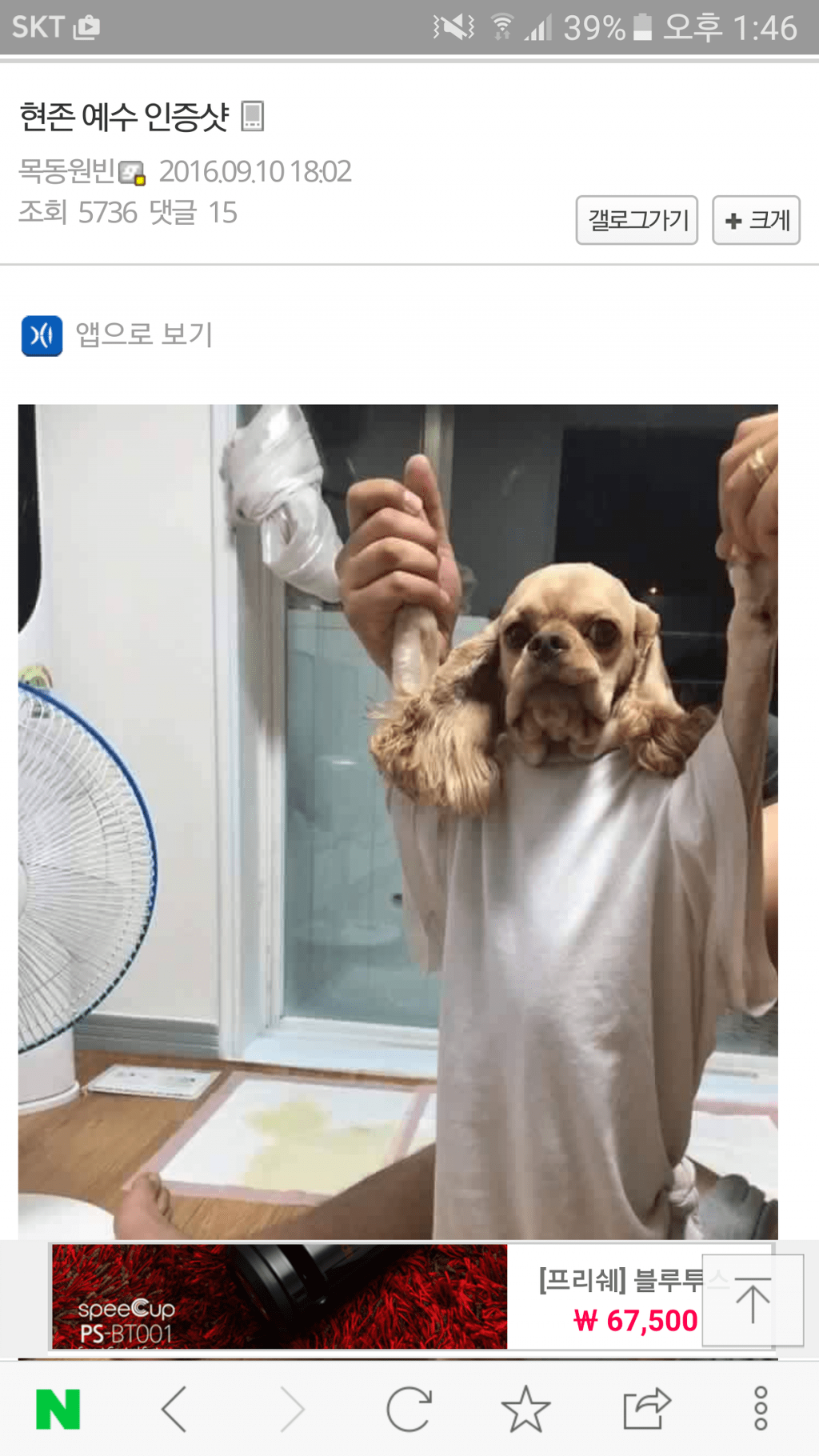 허언증 갤러리 레전드.jpg | 인스티즈