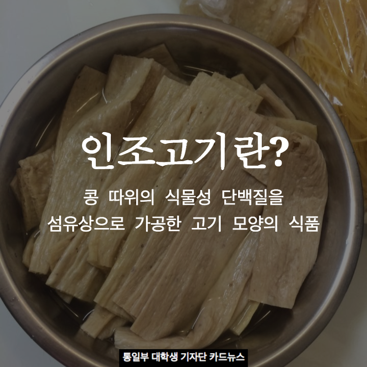 고기밥 이미지