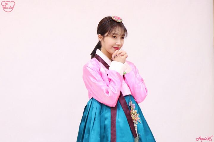 설날 기념 에이핑크 | 인스티즈