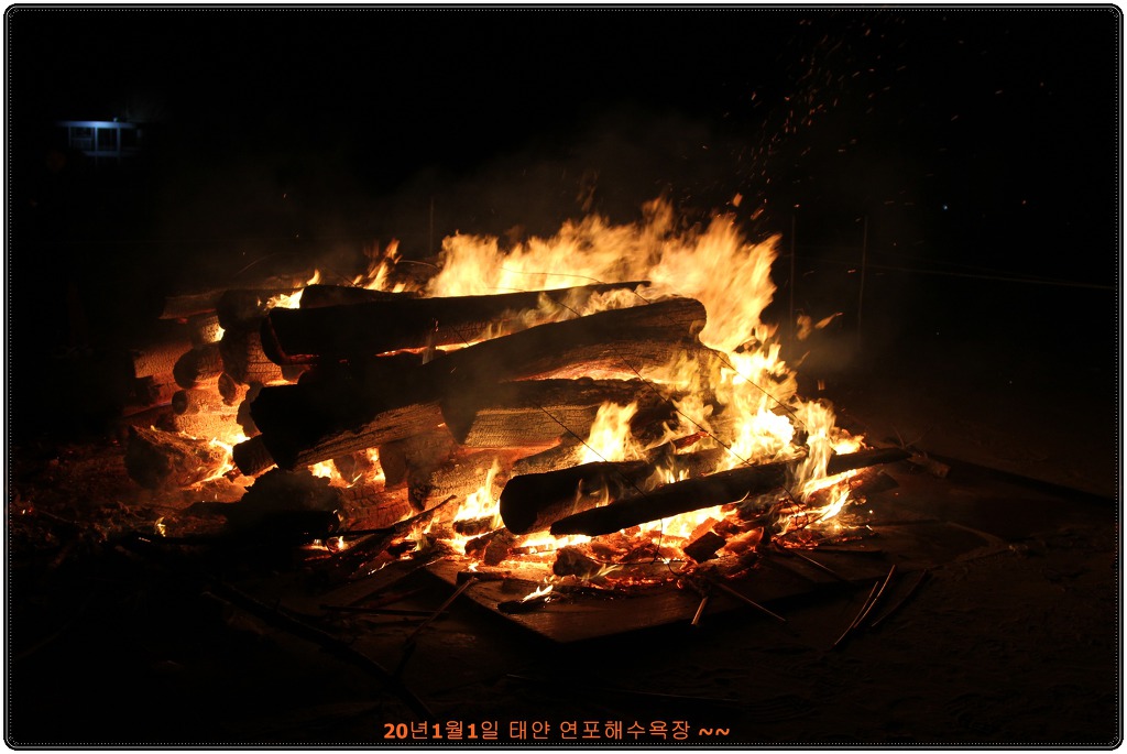연포2020 이미지