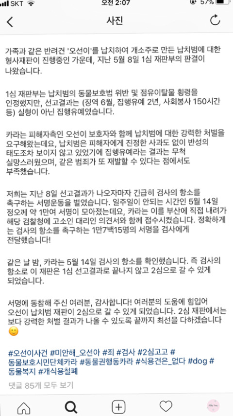 가족과 다름없는 반려견 오선이를 납치해 개소주로 만든 범죄자 사건 기억해? 2심 결정됐어🚨🚨 | 인스티즈