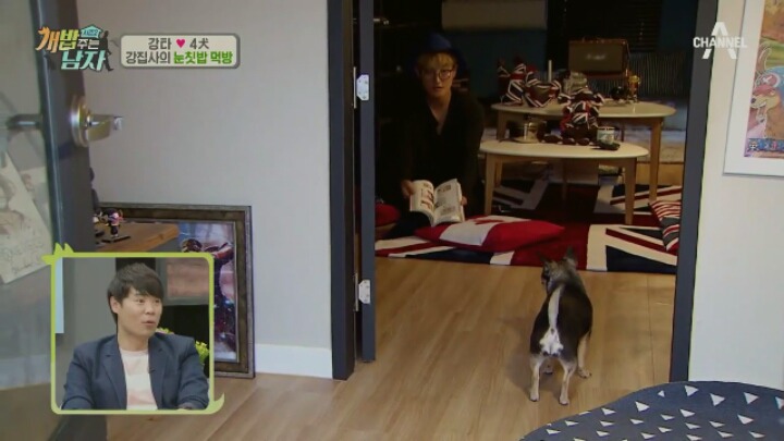 강아지 진짜 좋아하는 사람들은 잘 안치는 장난.jpg | 인스티즈