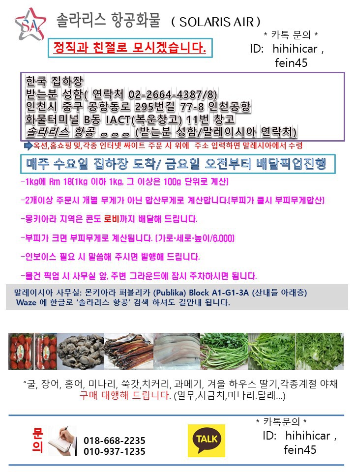 솔라리스 이미지