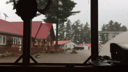 번개맞은 나무 .gif | 인스티즈