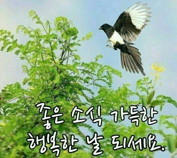 cafe 정남진 이미지