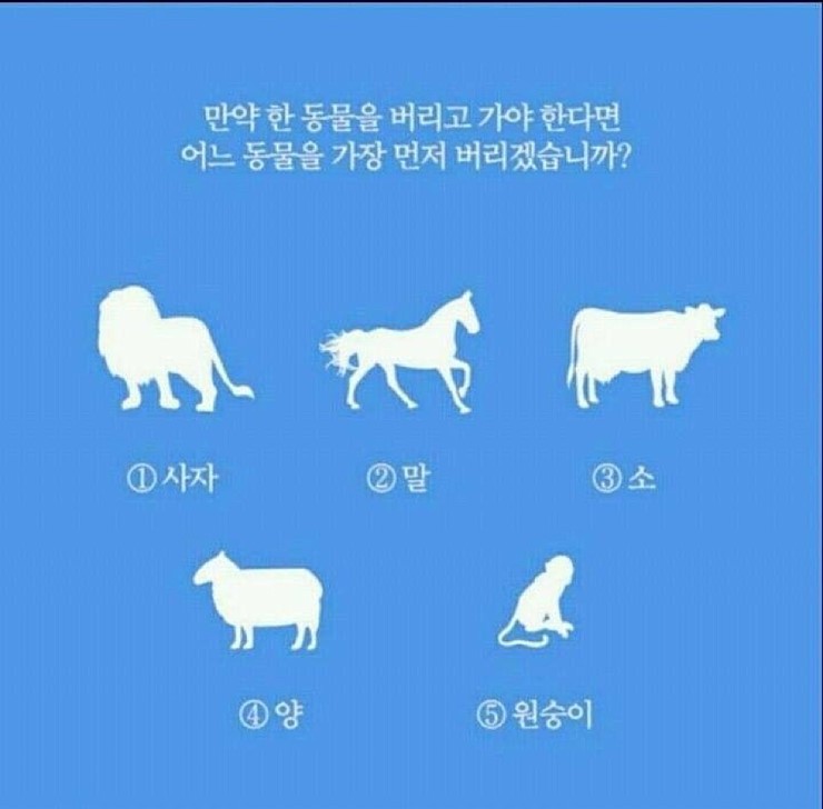 미국에서 퍼지고 있는 매우 정확한 심리테스트.jpg | 인스티즈