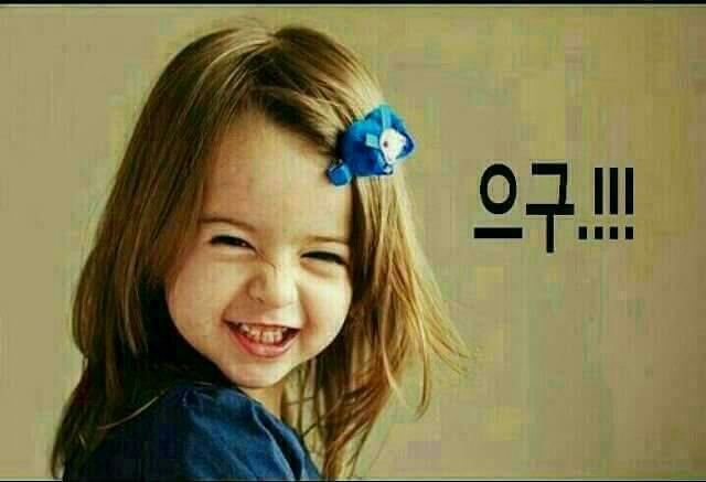 곱다 이미지