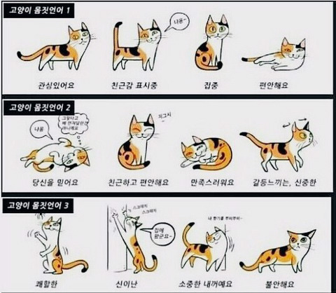 여러가지 정보/팁이오 | 인스티즈