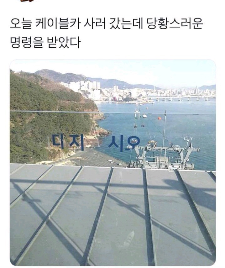 당황스러운 명령 | 인스티즈