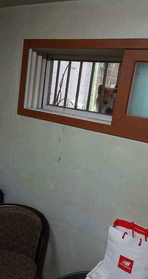 반지하에 살게 된 이후 생긴 뜻하지 않은 친구...jpg | 인스티즈