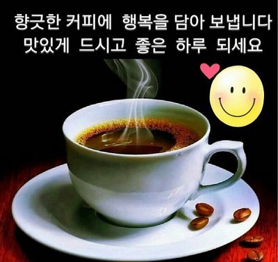 피 이미지