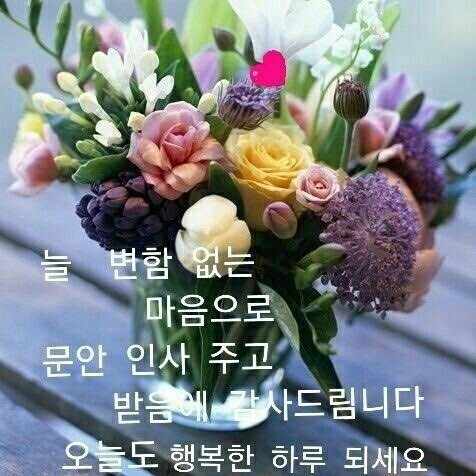 한가락가야금 이미지