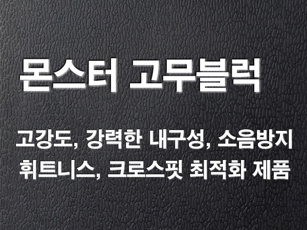 아이언짐 이미지