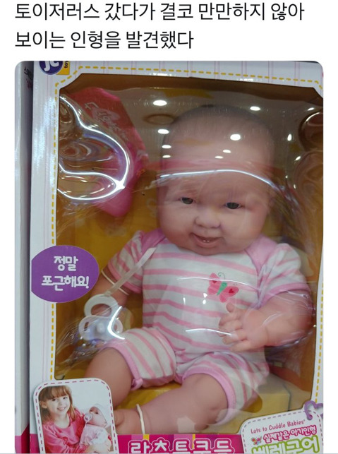 결코 만만하지 않아 보이는 인형 | 인스티즈