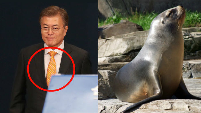 문꿀오소리를 물로 보는 청와대와 우정사업본부 | 인스티즈
