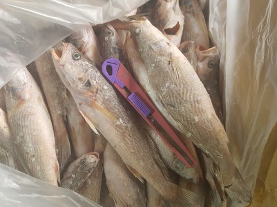 엘림수산 이미지