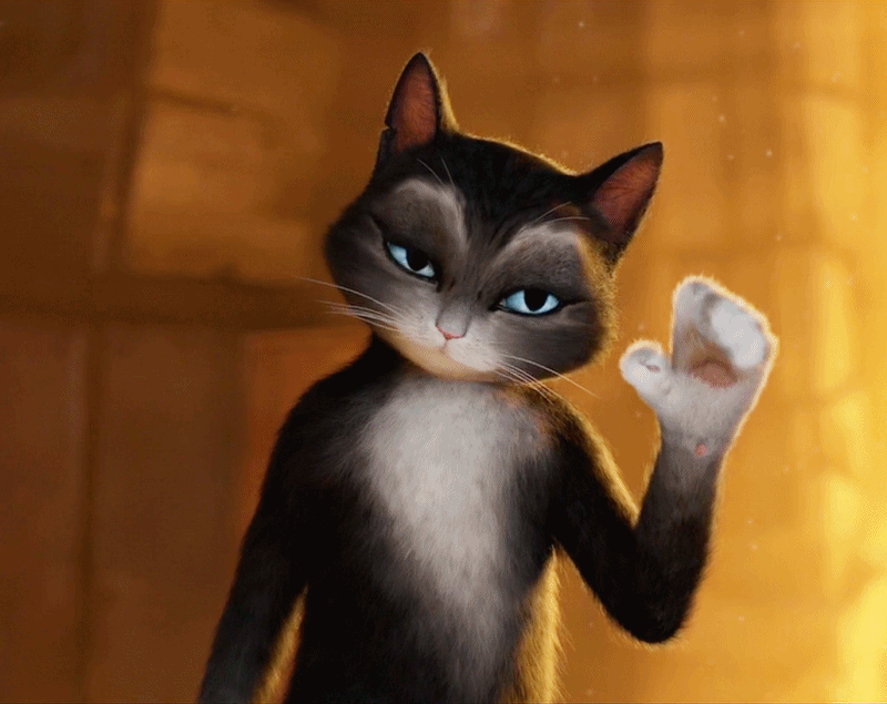 나만고양이없어! 고양이 gifjpg | 인스티즈