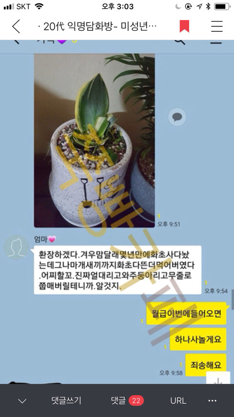 [익웃] 댕댕이가 어머님이 키우시는 산세베리아 뜯어먹음 | 인스티즈