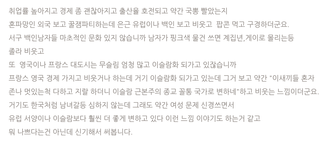유럽의 이슬람화 보고 팝콘 튀기는 일본 | 인스티즈