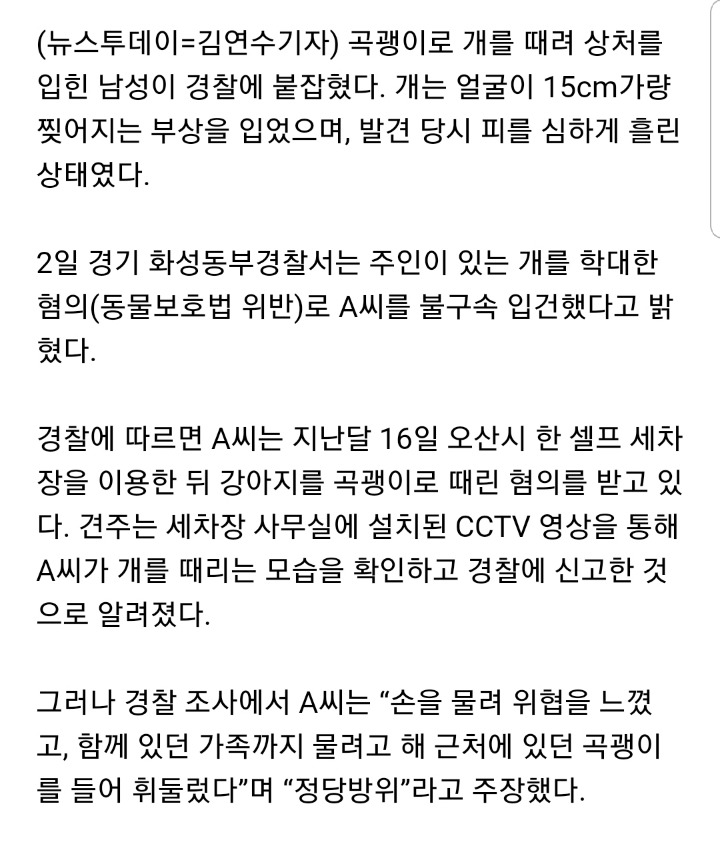 강아지 곡괭이로 내려쳐 불구속입건 vs 정당방위 | 인스티즈