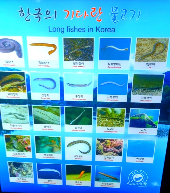 (주)경포아쿠아리움 이미지