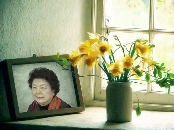 컴포토 이미지