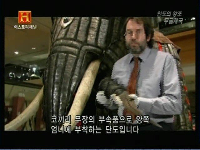 인도의 무굴 제국에서 사용한 전투 코끼리 갑옷 | 인스티즈