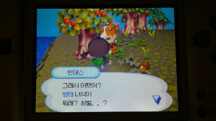 동물의숲 이웃 말버릇을 씌벌로 했더니 | 인스티즈