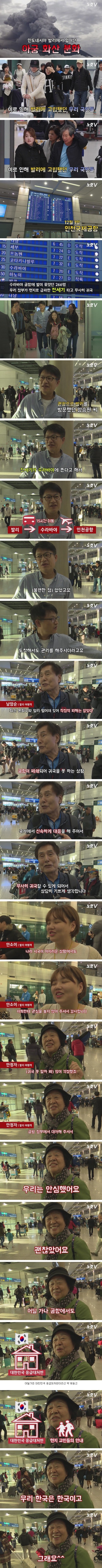 전세기로 발리에서 귀국한 시민들 인터뷰 | 인스티즈