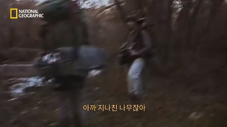 1999년, 새로운 장르의 공포영화가 인터넷을 통해 홍보되다 | 인스티즈