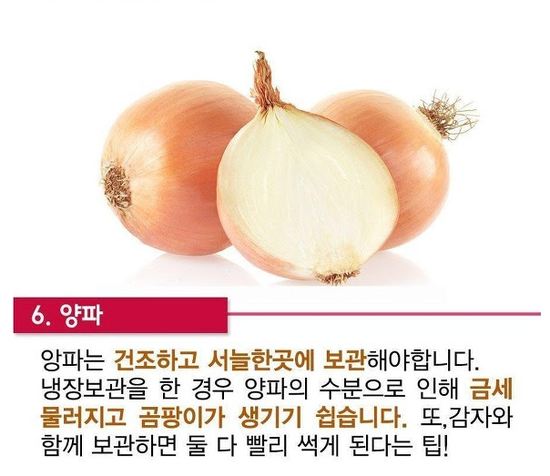 냉장고에 절대 넣지 말아야 할 음식 | 인스티즈