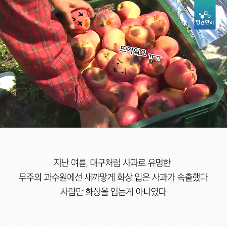 온난화가 그냥 더워지는 것만 문제가 아님. 밥이랑 과일 같은게 없어짐.jpg | 인스티즈