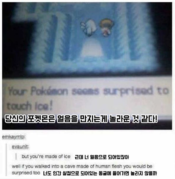 얼음동굴이 신기한 포켓몬 .jpg | 인스티즈