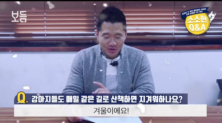 [강형욱의소소한Q&amp;A] 강아지도 매일 같은 길로 산책하면 지겨워 하나요? | 인스티즈