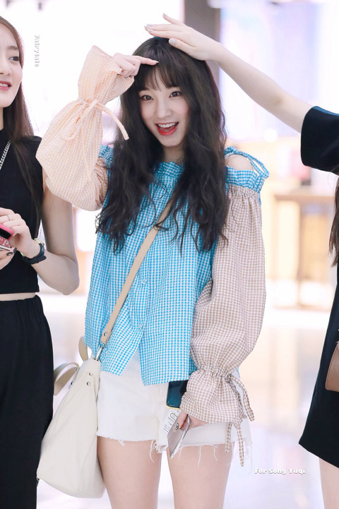 더슈 이미지