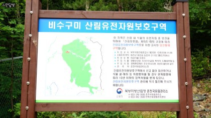 송포도 이미지