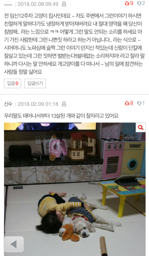 임신했으니 강아지 버리라고? | 인스티즈