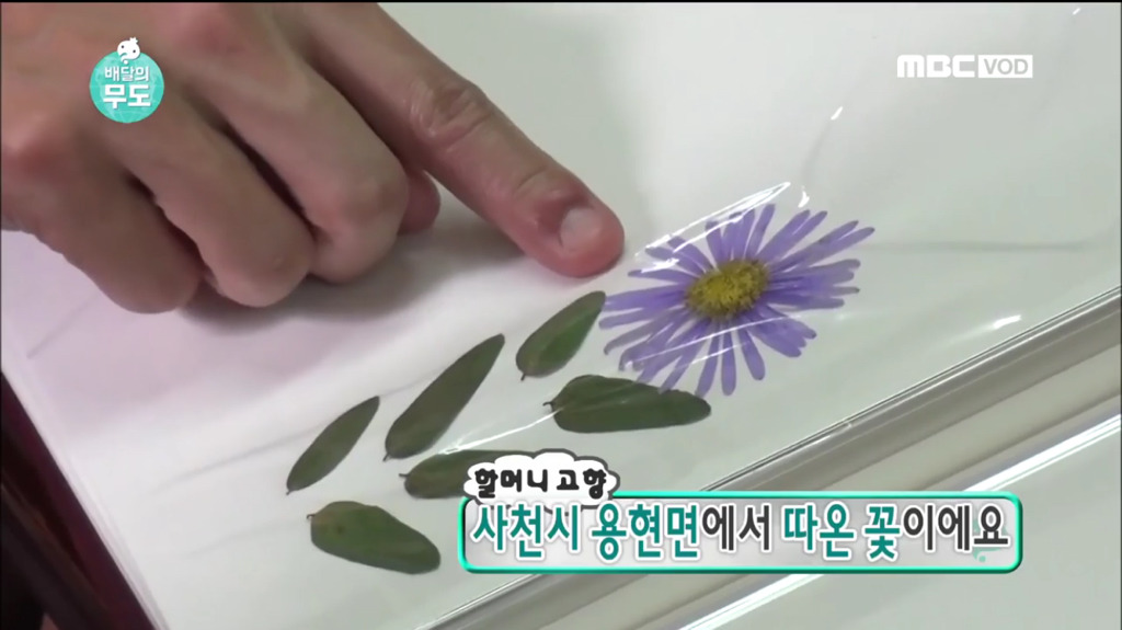 8살때 떠나온 고향을 영상과 사진으로 만나는 할머님 | 인스티즈