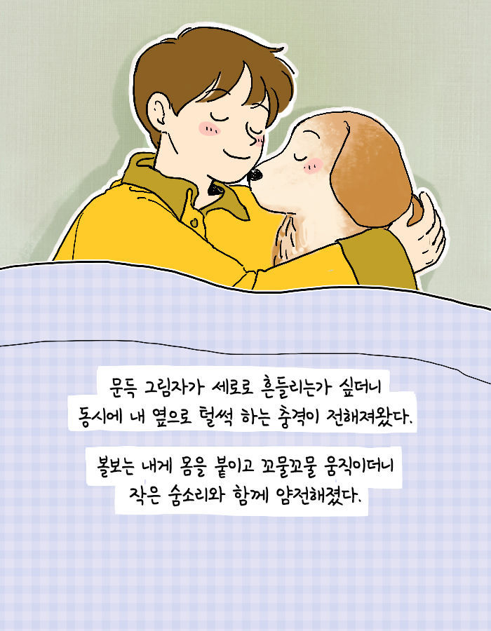 [책소개] 어쩌다보니 대형 댕댕이랑 같이 살게 됨 | 인스티즈