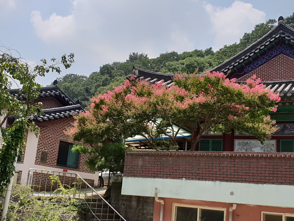 광덕사 이미지