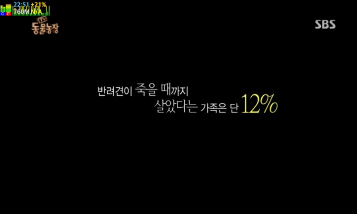 반려견이 죽을때까지 데리고 사는 비율 | 인스티즈