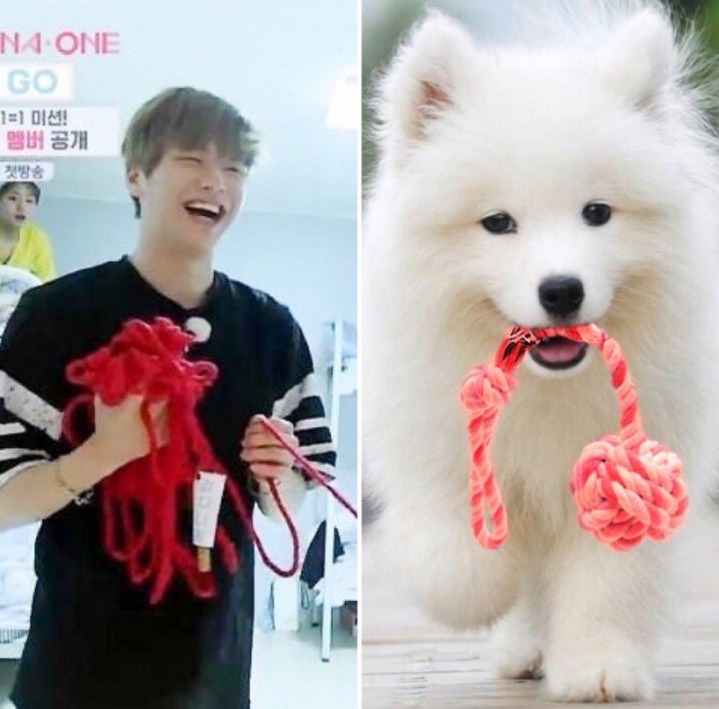 강아지중에 가장 사람닮은듯한 강다니엘 사진모음.jpg | 인스티즈