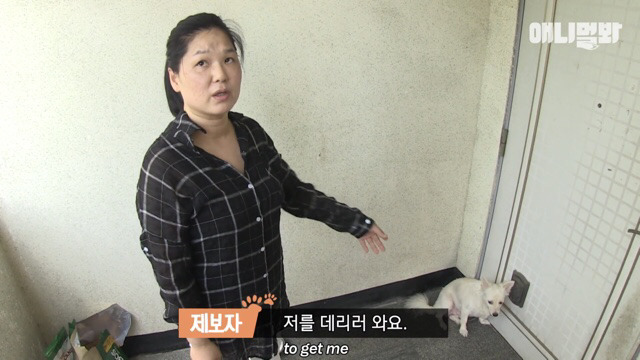 주인님이 열흘 째 문을 열어주지 않아요.. (캡쳐) | 인스티즈
