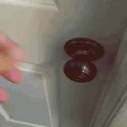 주인을 반기는 개와 고양이의 차이.GIF | 인스티즈